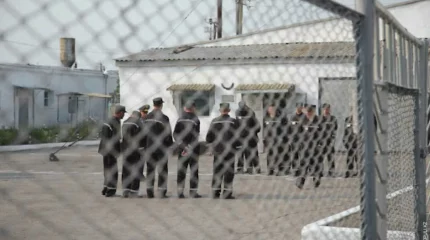 Тюремные преступления: как казахстанцы нарушают закон за решеткой