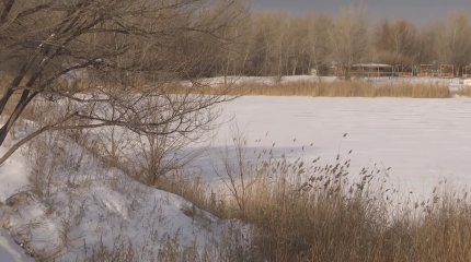 Авто слетело с моста: в Актюбинской области в реке нашли тела двух рыбаков