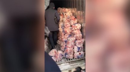 Опасное мясо: подпольные убойные цеха накрыли в Астане