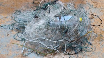 Баянауыл ұлттық паркінде заңсыз балық аулау фактісі анықталды