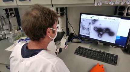 Германиядағы мектепте «маймыл шешегі» анықталды