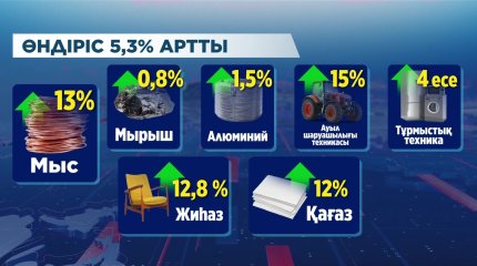 221 мың тонна ет импортталды