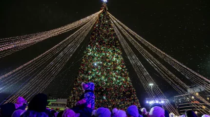 Шырша шамы жағылды