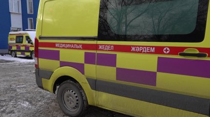 Жедел жәрдем қызметкерін соққыға жыққан Қостанайдың қос тұрғынына қылмыстық іс қозғалды