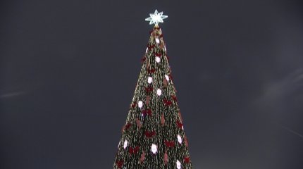 25-метровую ёлку установили у монумента "Қазақ Елі" в столице