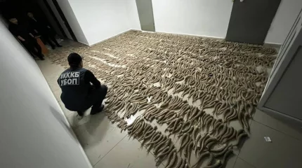 Қызылорда облысында екі мыңнан астам киік мүйізі тәркіленді