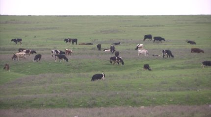 Ақтөбе облысында 200 мың гектардан астам жер мемлекетке қайтарылды