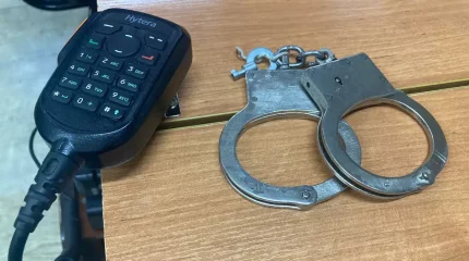 Аса iрi алаяқтық жасады деген күдікті Ресейден экстрадицияланды