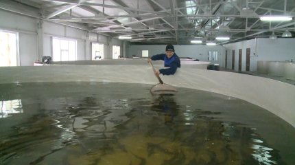 В Мангистауской области возрождают рыболовство