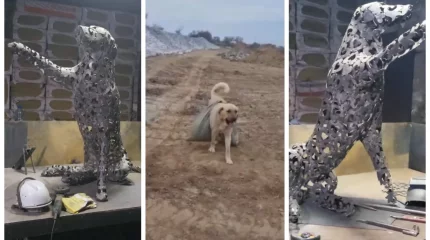 Қазақстандық мүсінші өлтірілген Пшөн есімді итке арнап ескерткіш жасап жатыр