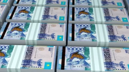 На что потратили возвращенные государству «деньги коррупционеров»