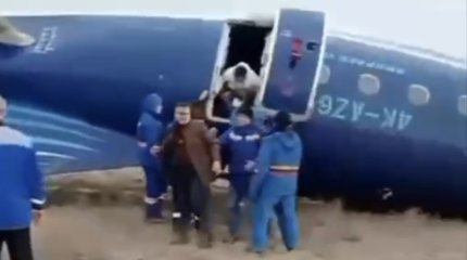 Среди причин крушения самолета называют столкновение с птицами