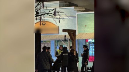 Алматыдағы Гранд Парк сауда ойын-сауық орталығының маңында қару қолданған жасөспірім ұсталды