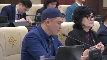 В текущем году Мажилис рассмотрел 106 законопроектов