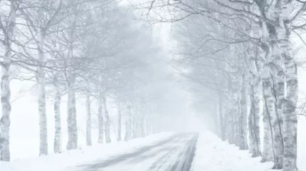 Тұман, көктайғақ: елдің басым бөлігінде ауа райына байланысты ескерту жарияланды