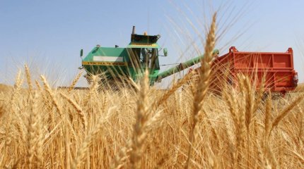 Биыл рекордтық өнім жиналды