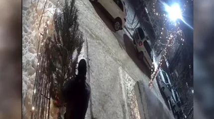 Орал тұрғыны ауладан жаңа жылдық шыршаны ұрлап кеткен