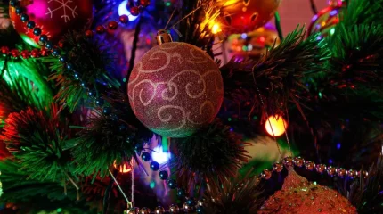 Мектепте жаңа жылда ақша жинап, мерекелік шара ұйымдастыруға бола ма – Оқу-ағарту министрі жауап берді