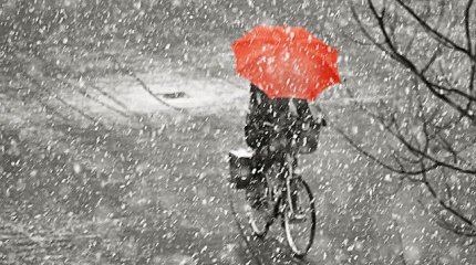 В Алматы и Шымкенте дождь, в Астане туман: погода в мегаполисах в понедельник, 30 декабря