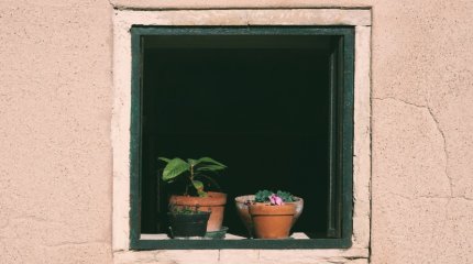 Окна на кухне запретили устанавливать в Афганистане из-за женщин