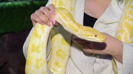 "Келер жылы адамдар рухани медицинаға бет бұрады",-астролог