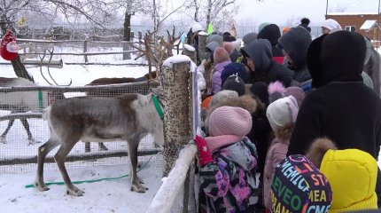 Оралдық балалар бұғылар мекеніне саяхат жасады