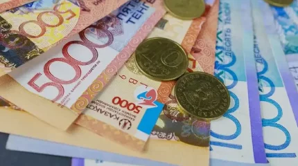 На соцвыплаты в 2024 году направлена пятая часть бюджета Казахстана