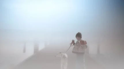 Всё туманно: штормовое предупреждение объявлено в 17 регионах Казахстана