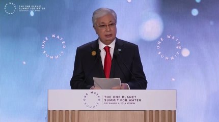 "Мұздықтарды қорғау мен зерттеуге арналған жаһандық серіктестік құру қажет", - Президент