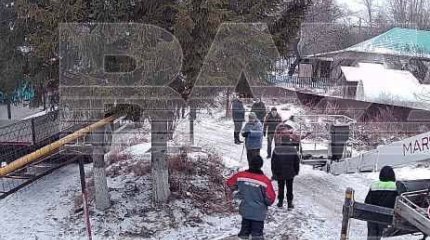 У россиянки спилили ёлку под окном и выставили на городской площади