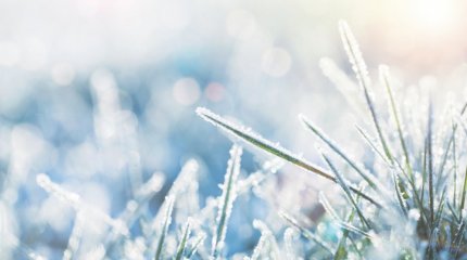 Алдағы күндері 28 градусқа дейін аяз болады