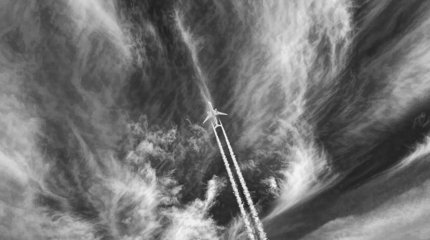 Башар Асад погиб в авиакатастрофе, - СМИ