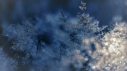 Школьников Астаны перевели на дистанционное обучение из-за мороза в понедельник