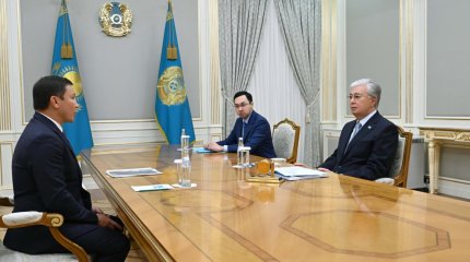 Мемлекет басшысы Ұлттық олимпиада комитетінің президенті Геннадий Головкинді қабылдады