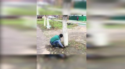 Түркістан облысының прокуратурасы синтетика тарататын дүкенді анықтады