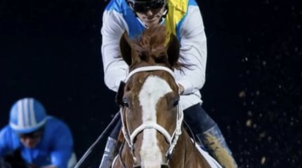 “Қалма, Кабирхан!”: Тұлпар иесінің толқыған сәті видеоға түсіп қалған