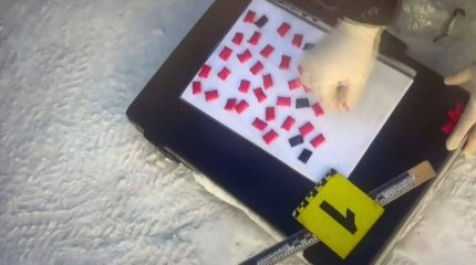 Закладчика с "синтетикой" задержали в Рудном