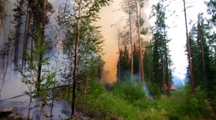 "Алдағы жаз былтырғыдан да ыстық болады", - ТЖМ