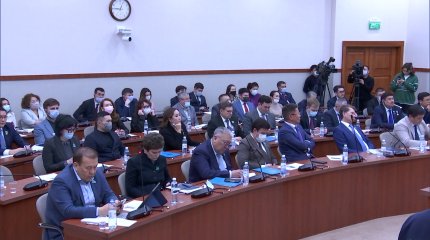 «Мұндай заңды 10-сынып оқушысы да жаза алады», - депутат