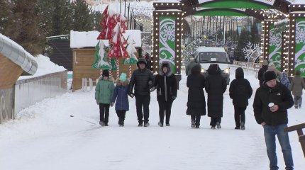 Свыше 120 тысяч казахстанцев уже подали декларацию о доходах