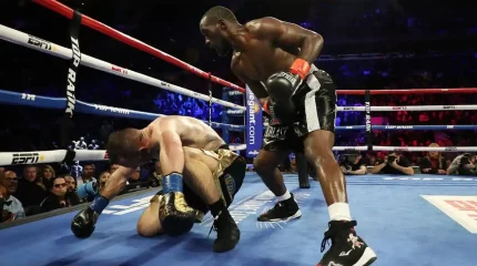 Әлемдегі ең мықты үш боксшы анықталды