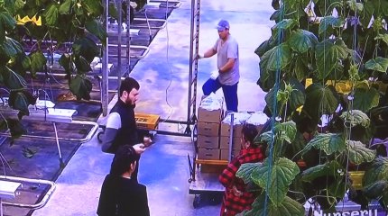 Фермеры Туркестанской области несут убытки из-за отсутствия инфраструктуры.