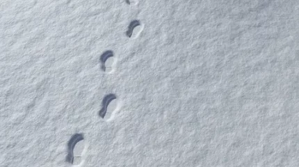 Пропавшего в буран пастуха нашли полицейские и спасатели в Жетісу