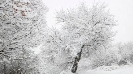 45 градусқа дейін аяз: синоптиктер ескерту жасады