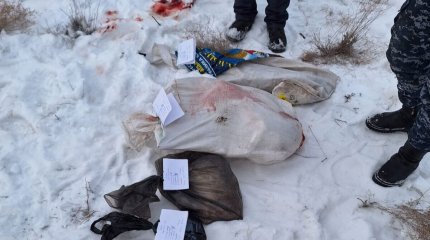 Қызыл кітапқа енген жануардың тушасы табылды