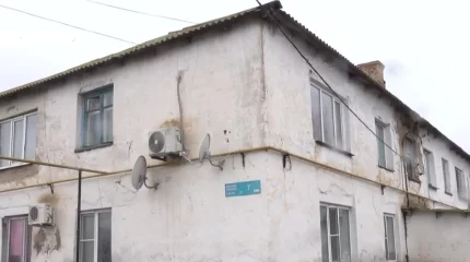 Атырау облысының тұрғындары үй ішіндегі жыланмен арпалысып әлек