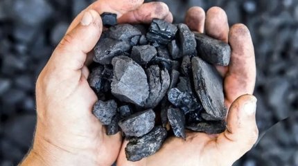 Жетісу облысында көмірге бөлінген қаржыны жымқырған кәсіпорын басшысы 7 жылға сотталды