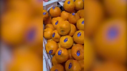 Ерекше балаларға арналған колледжде мерзімі өткен азық-түлік пен дәрі-дәрмек берген