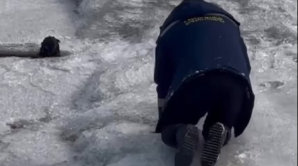 Спас щенка, рискуя собой: поступок алматинца восхитил казнет