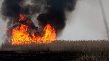 Степногор іргесіндегі алапат өрт елді шошытты